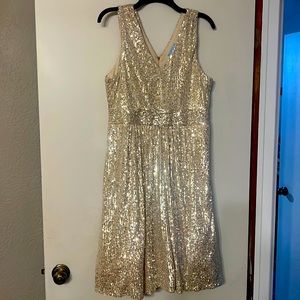 Beautiful Sequin Party Dress
